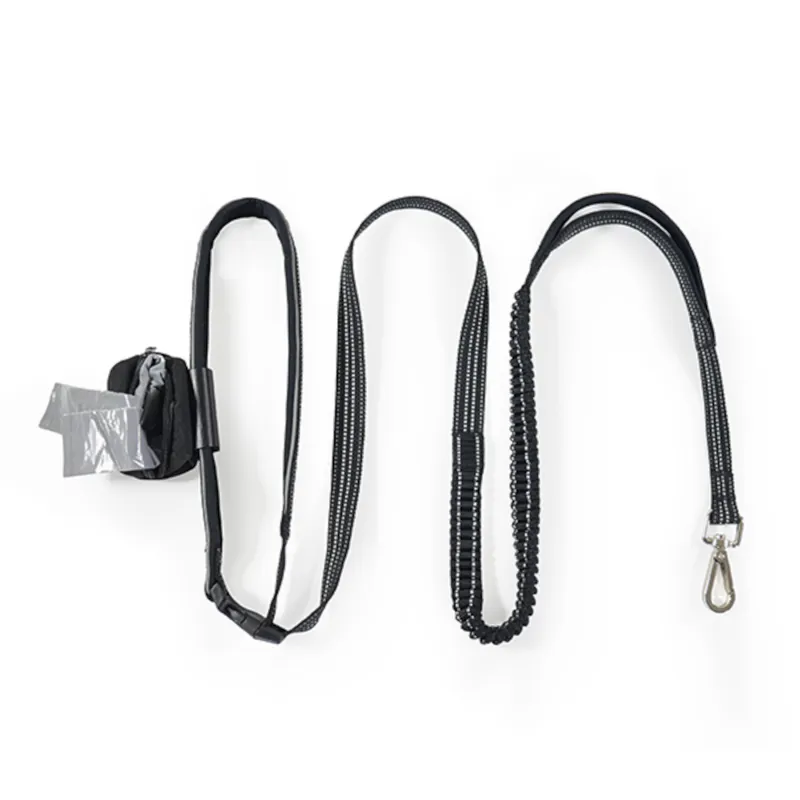 Rosewood Reflective Exercise Lead